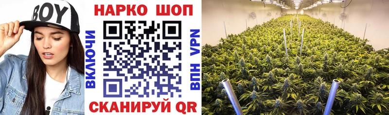 Какие есть наркотики Новокубанск COCAIN  Псилоцибиновые грибы  ГАШИШ  мега вход  Альфа ПВП 
