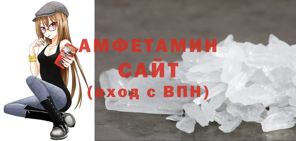 прущие грибы Струнино