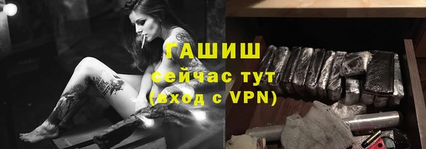 a pvp Бородино