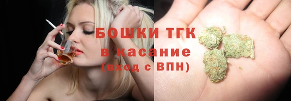 a pvp Бородино